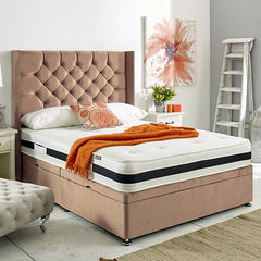 Harrogate Wing Chesterfield II